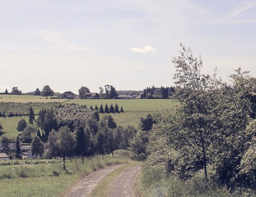 Ausblick vom Panoramasteig Richtung Wipperfürth