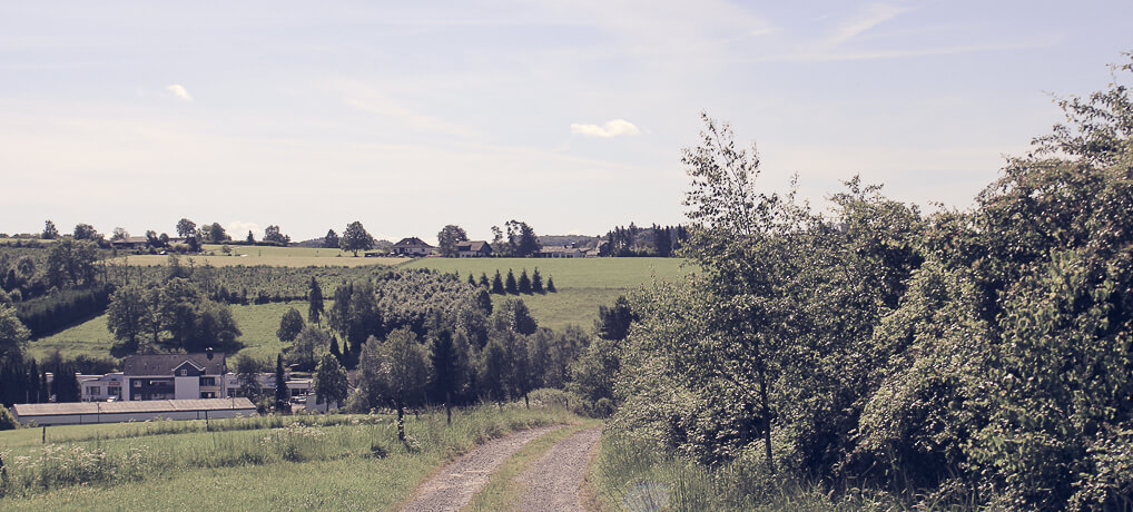 Ausblick vom Panoramasteig Richtung Wipperfürth