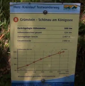 Ein Herz-Kreislauf-Testwanderweg am Grünstein