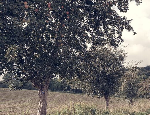 Bergischer Streifzug Obstweg in Leichlingen