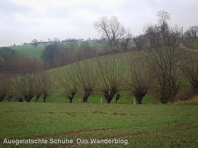 Weitblick in die Felder bei Isenbügel am Neanderlandsteig