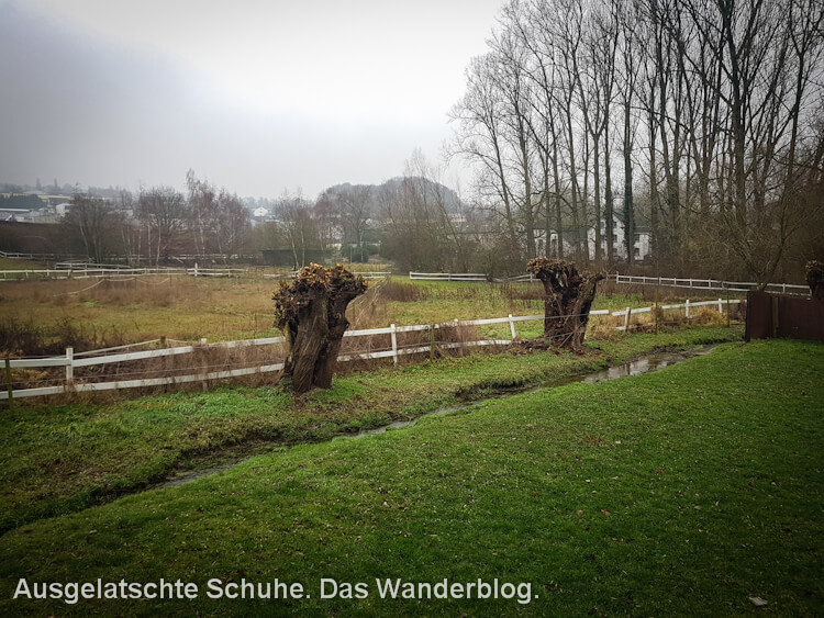 Neanderlandsteig, Etappe 6