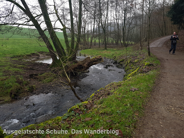Neanderlandsteig: Wanderweg am Bach