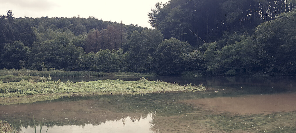 Der Bergische Weg Etappe 5