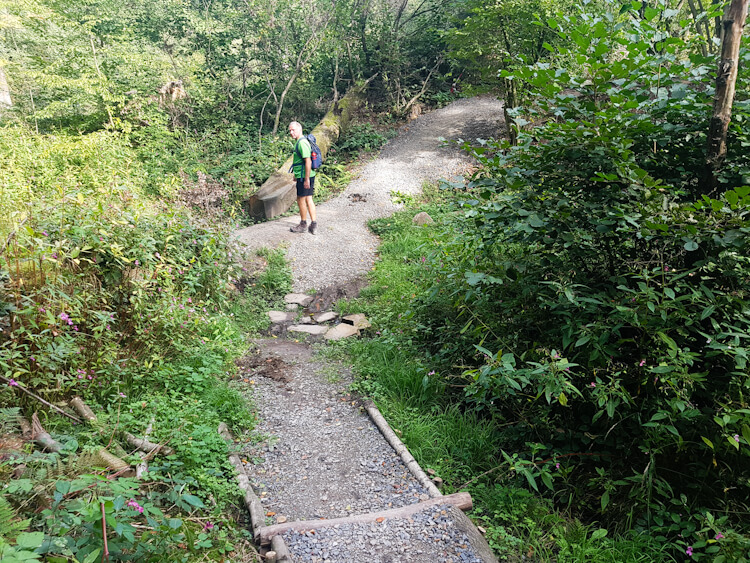 Fernwanderweg bei Bensberg