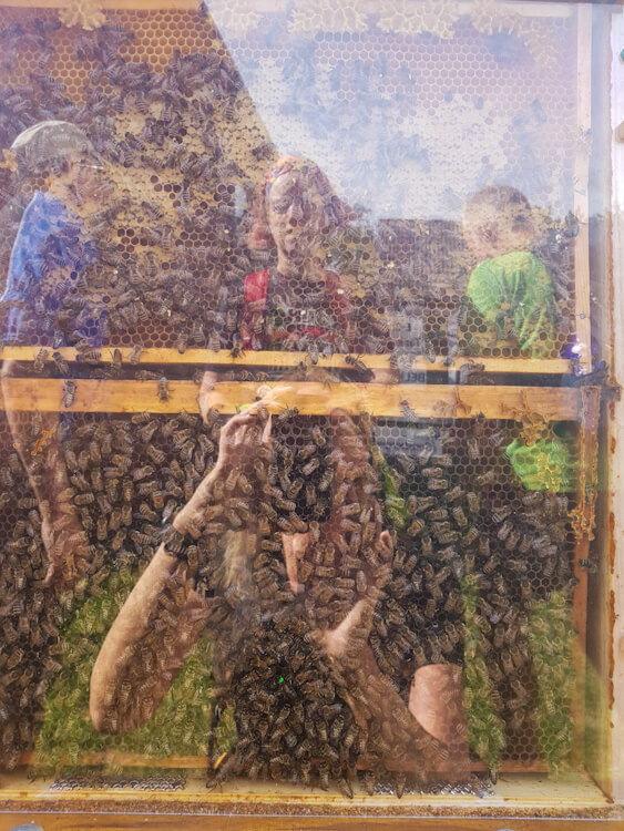 Bienenstock am Forsthaus