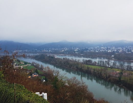 RheinBurgenWeg Etappe 1: Aussicht auf den Rhein vom Rolandseck aus