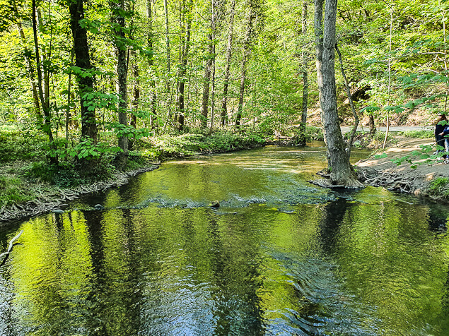 Wandern an der Düssel im Neanderthal