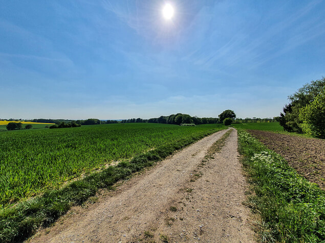 Weitläufige Felder auf dem Weg zu Stinderbachtal