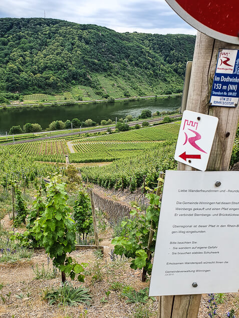 RheinBurgenWeg Etappe 6