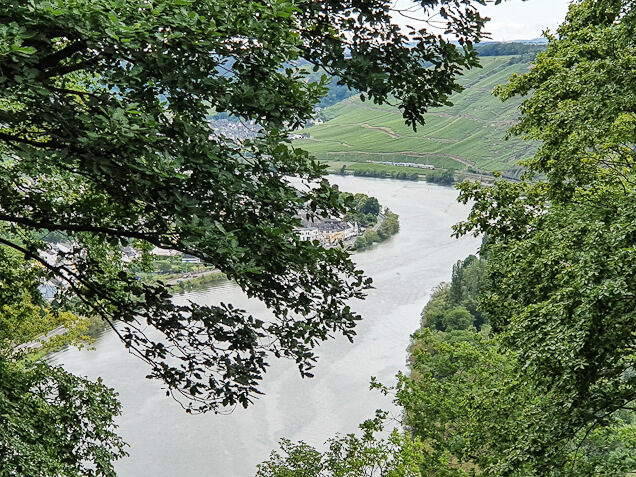 Blick auf die Mosel am RheinBurgenWeg