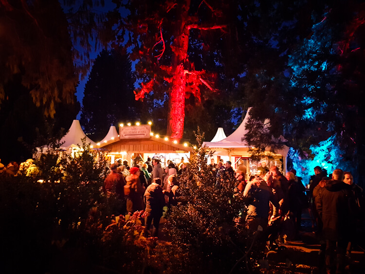 Weihnachtswanderung NRW an Schloss Drachenburg