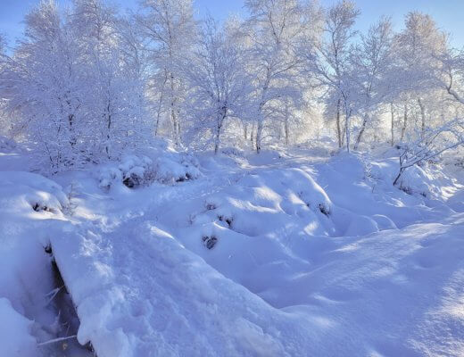 Hohes Venn: Wandern im Schnee