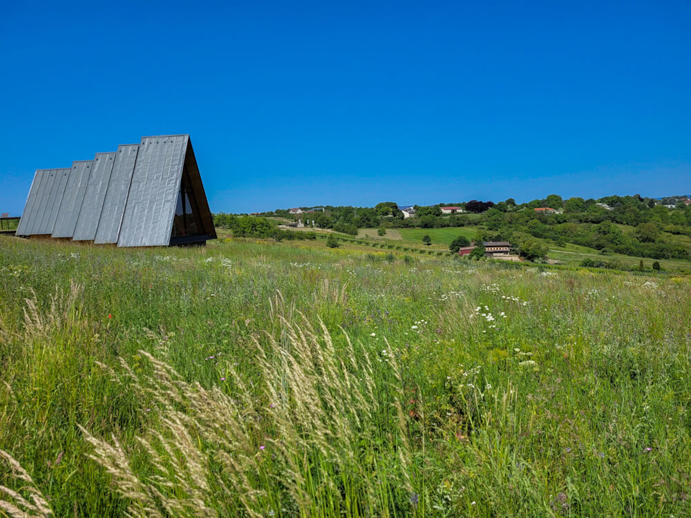 Wanderung auf der Hiwweltour Zornheimer Berg