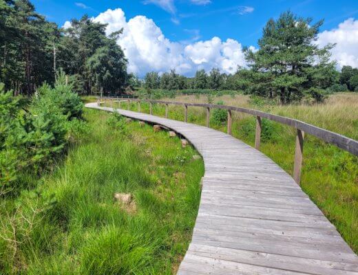 Wanderung von Wesel nach Blumenkamp auf dem Hohe Mark Steig, Etappe 1
