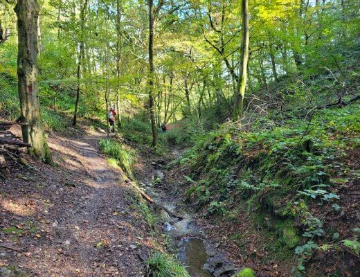 Wanderung auf dem Deilbachsteig