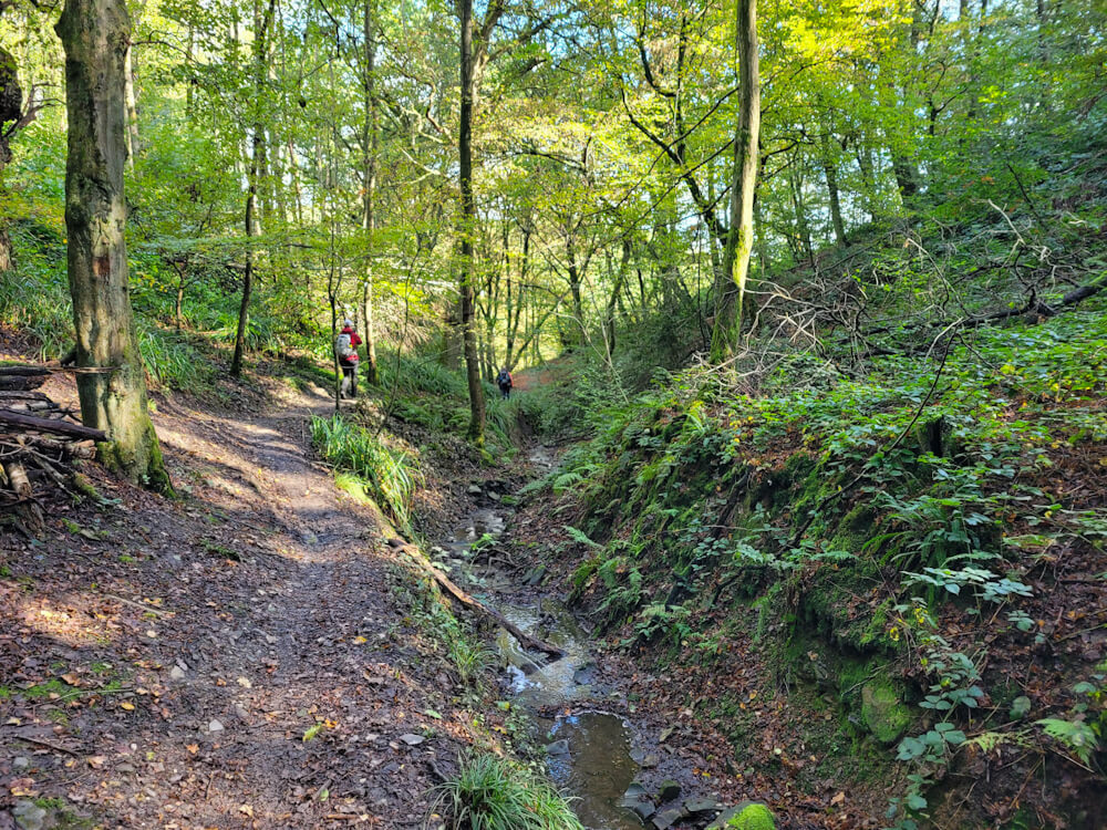 Wanderung auf dem Deilbachsteig