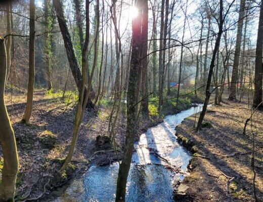 Der Eggenweg im Wolfsbachtal