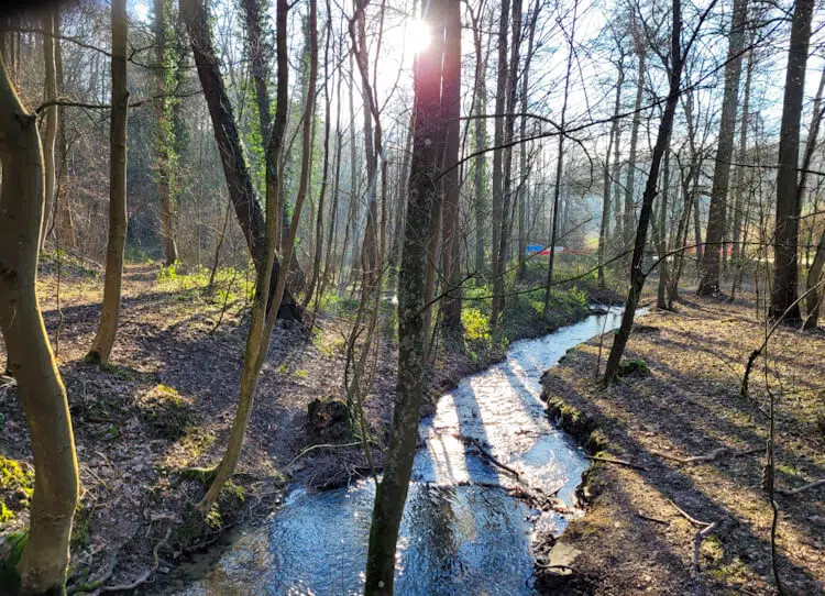 Das Wolfsbachtal am Eggenweg in Essen-Werden