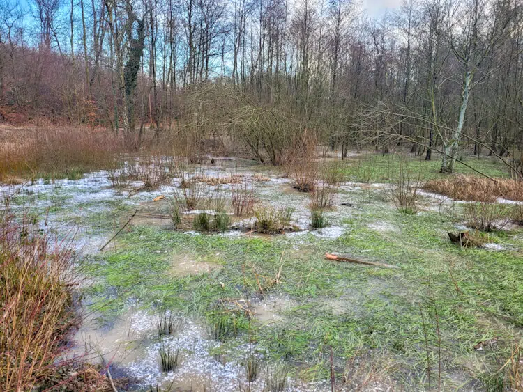Zugefrorener Tümpel im Rumbachtal am Eggenweg