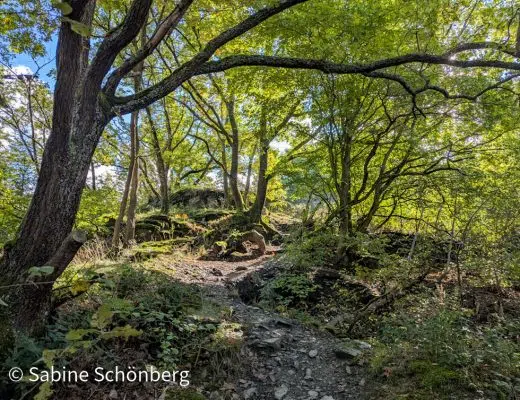 Wenn du durch die Barriere der Angst gehst, kannst du Veränderung herbeiführen und deine Komfortzone verlassen. Dazu musst du deinen inneren Bodyguard zum Verbündeten machen.