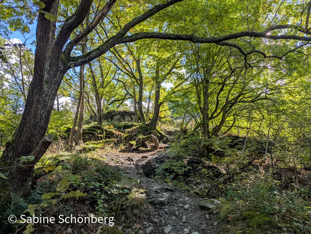 Wenn du durch die Barriere der Angst gehst, kannst du Veränderung herbeiführen und deine Komfortzone verlassen. Dazu musst du deinen inneren Bodyguard zum Verbündeten machen.