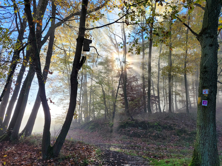 RheinBurgenWeg schönste Etappe: Sie führt von Bad Salzig nach St. Goar.