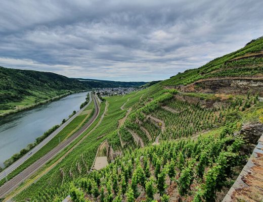 Blick vom RheinBurgenWeg Etappe 6 auf die Mosel bei Koblenz