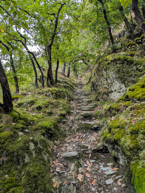 Der Eselspfad am Rheinburgenweg schönste Etappe