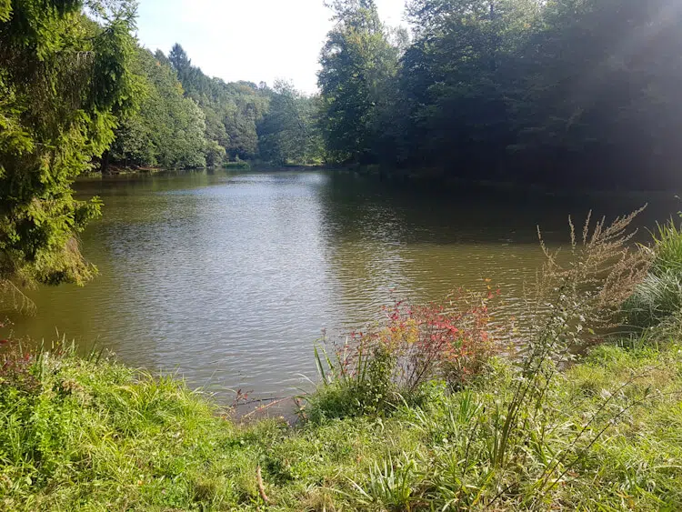 Der Milchborntalweiher bei Bensberg