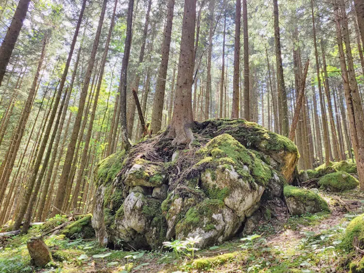 BalancePfad - Gruppencoaching für outdoor-affine Frauen ab 35+