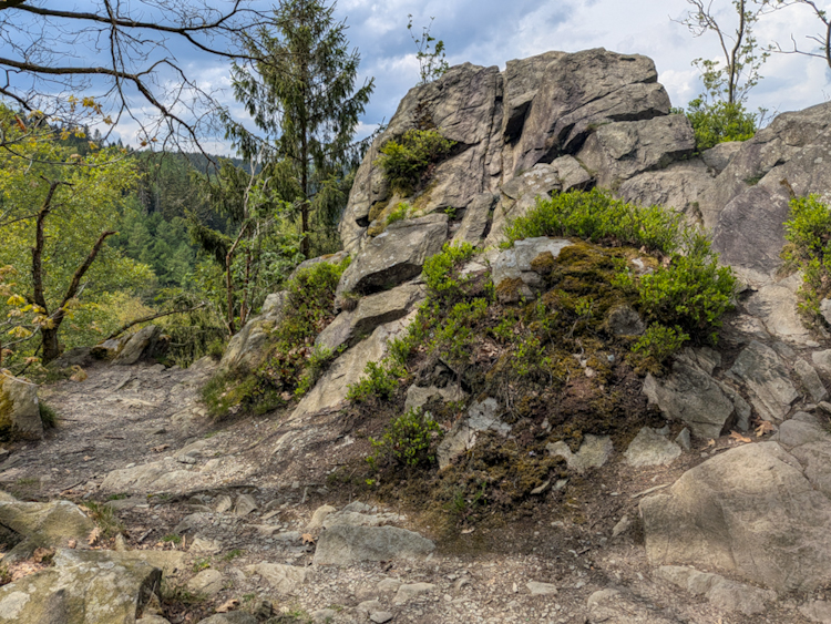Felsiger Wegabschnitt auf dem Eifelsteig — moosbedeckte Granitfelsen ragen aus dem Waldboden, im Hintergrund dichter Mischwald unter bewölktem Himmel.