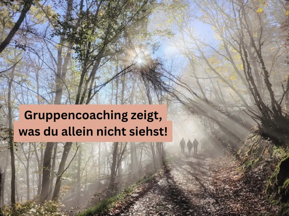 Nebliger Wanderweg im Wald, durch den langsam die Sonne bricht, mit einer Wandergruppe auf dem Weg - Symbolbild für Einzelcoaching oder Gruppencoaching