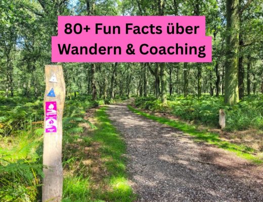 Sonniger Waldweg mit Wandermarkierung – Fun Facts über Wandern und Coaching