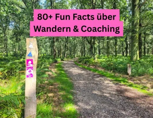Sonniger Waldweg mit Wandermarkierung – Fun Facts über Wandern und Coaching