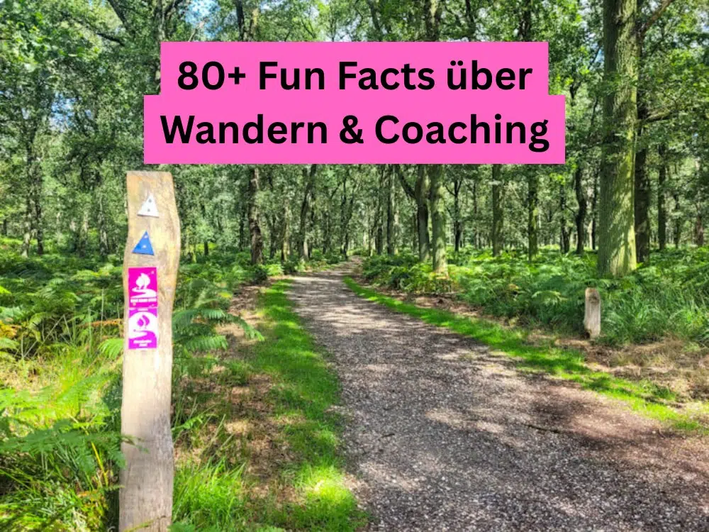 Sonniger Waldweg mit Wandermarkierung – Fun Facts über Wandern und Coaching