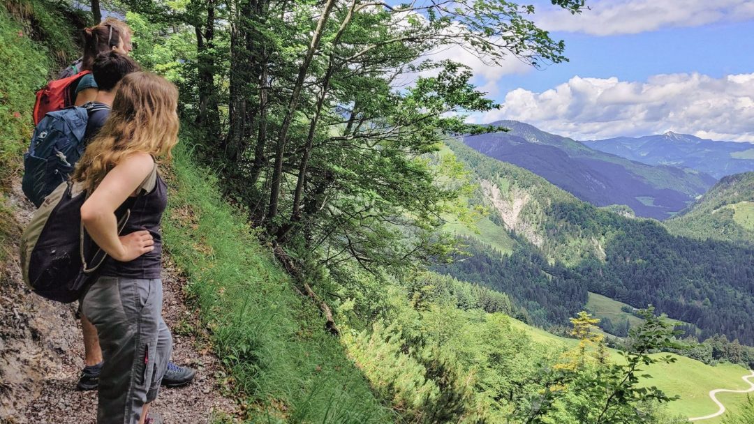 Zwei Wanderinnen und zwei Wanderer blicken vom schmalen Steig auf dem Koasa Trail Etappe 1 ins Tal